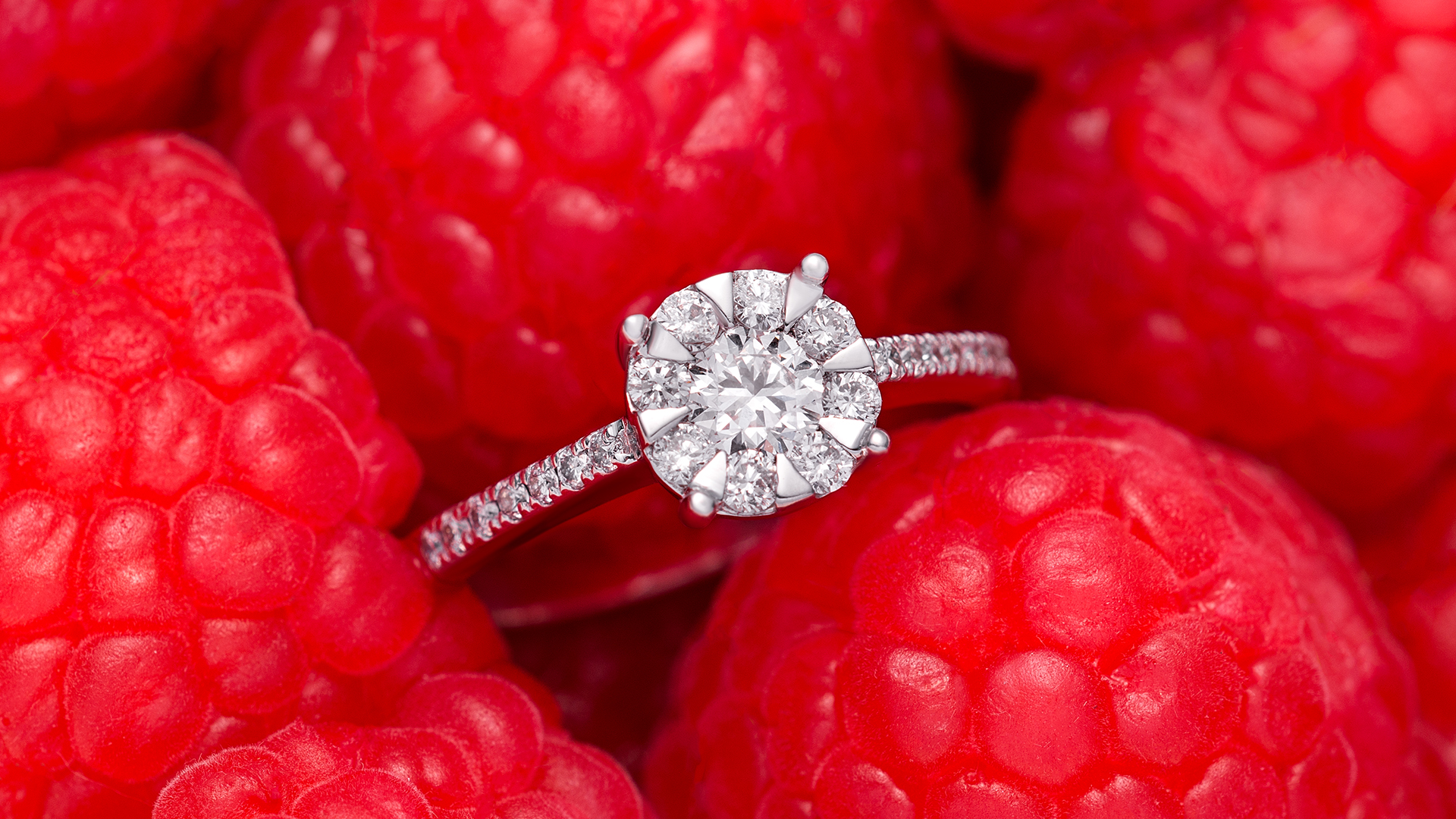 ^53038833139F16CC4B0C296D8E3D2F7816C1B90BB0C49BD55E^pimgpsh_fullsize_distr